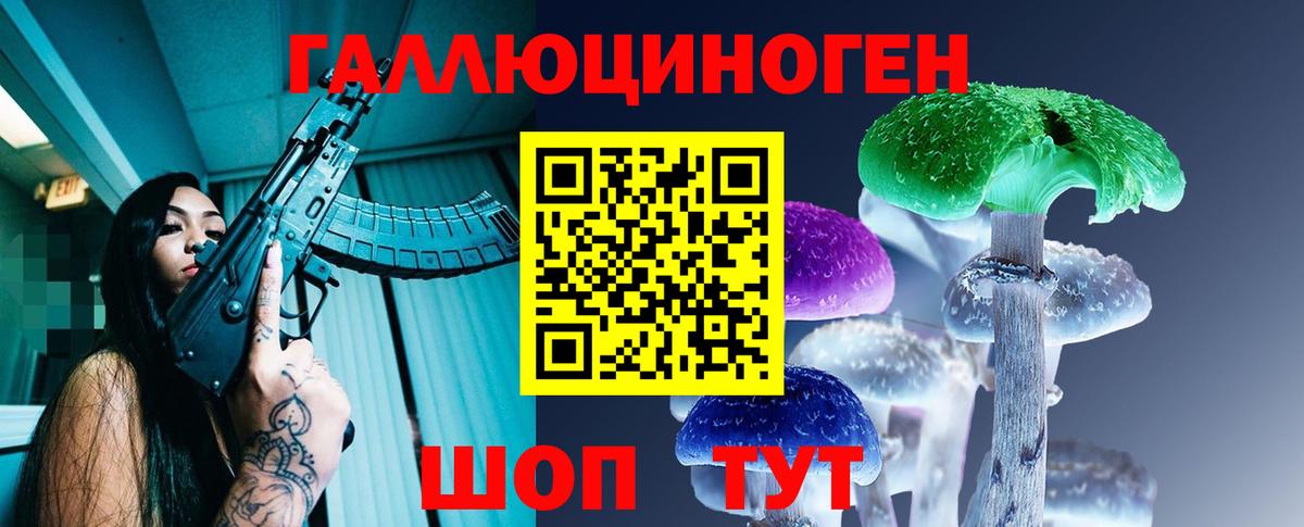 Десногорск  Галлюциногенные грибы Cubensis  Вход с VPN 