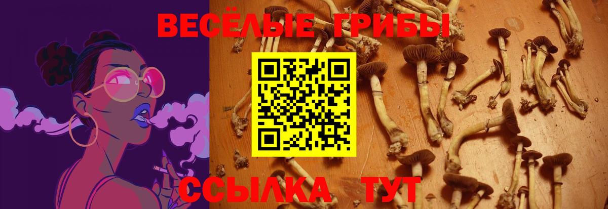 Псилоцибиновые грибы прущие грибы Десногорск